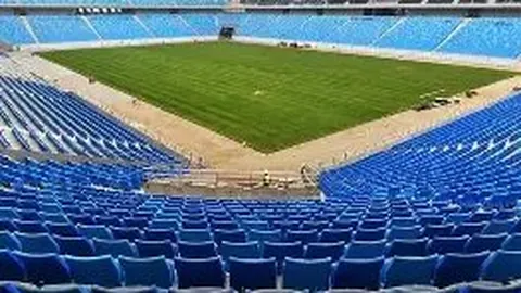 国家卫健委深入探讨心理健康维护秘诀